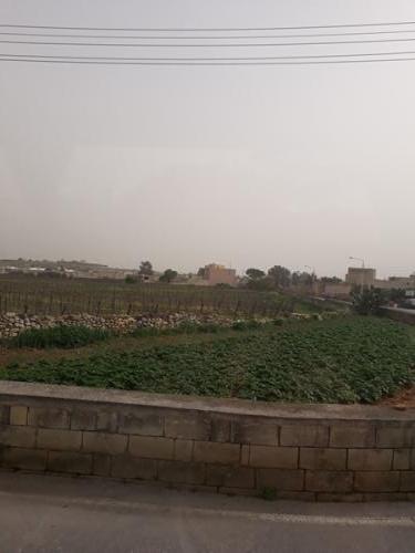 Bussi aknast vaade põllumajandusele, kartuli põld